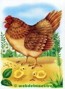 Gallina con pollitos
