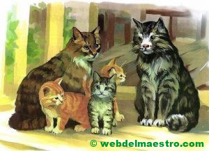 Gato, gata y gatitos