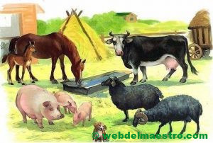 Granja con animales mamíferos