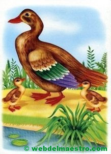 Pato con patitos