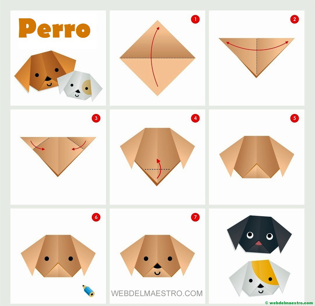perro-
