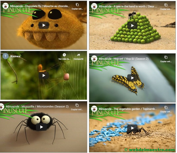 Vídeos graciosos cortos