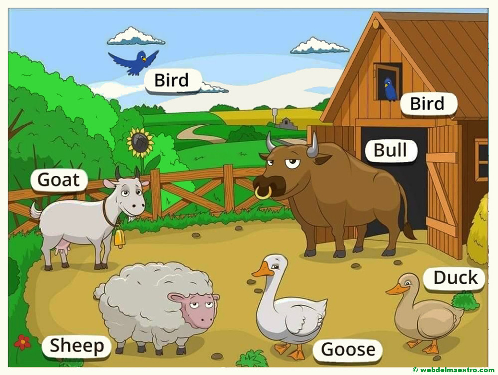 animales de la granja en ingles-II