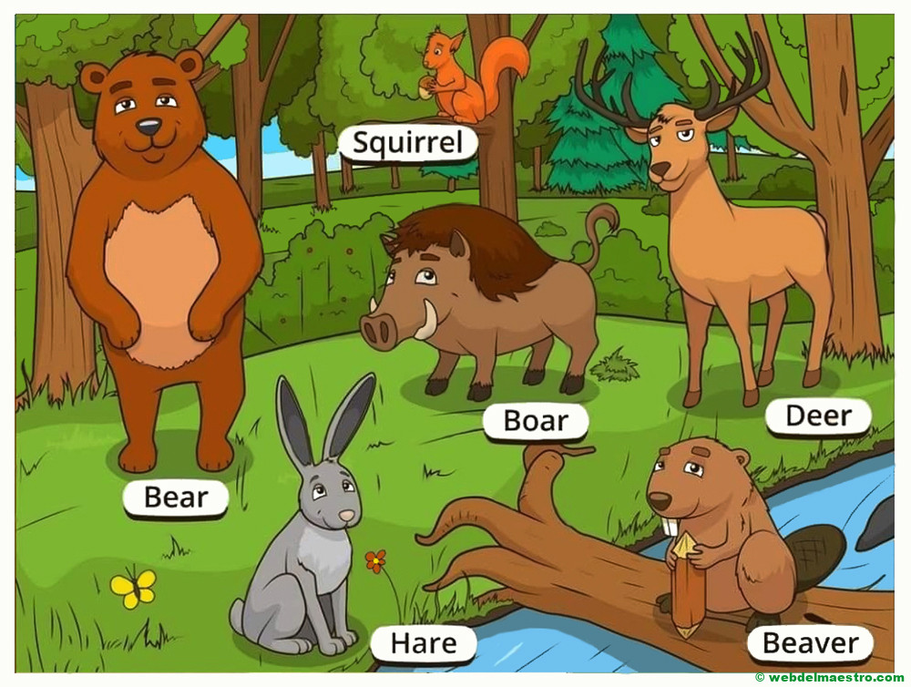 animales del bosque en ingles-II