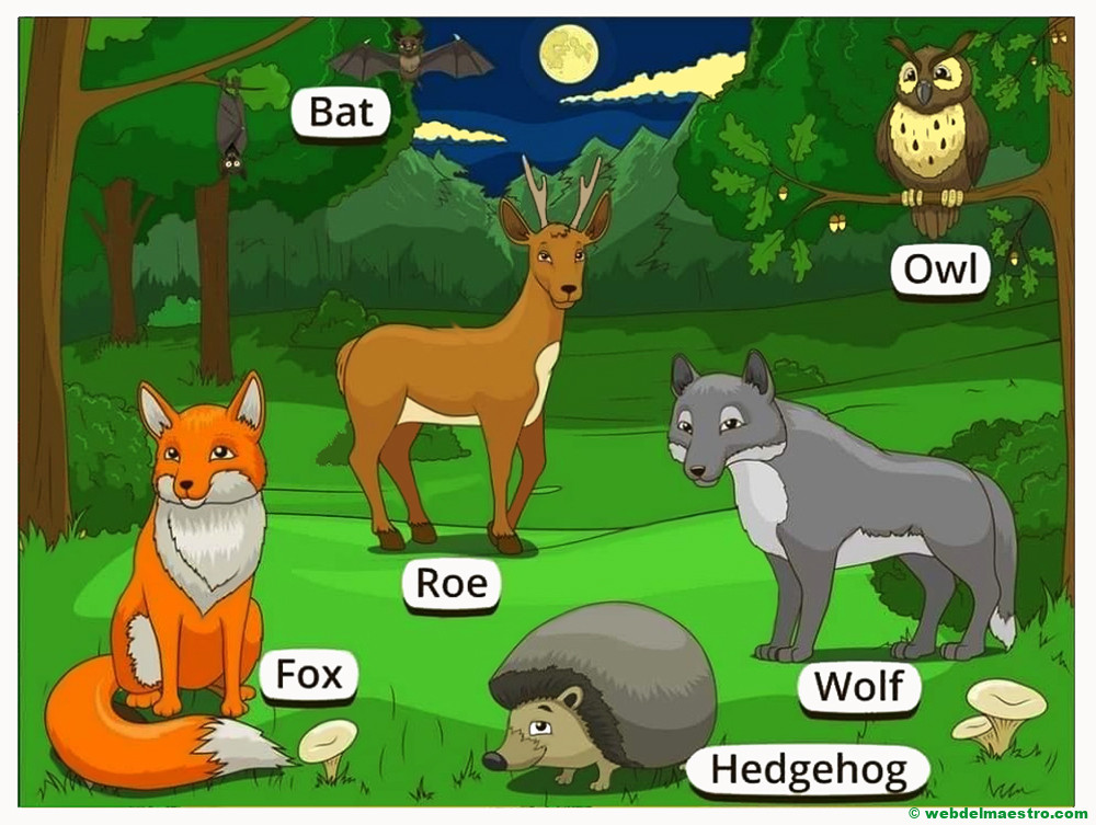 animales del bosque en ingles