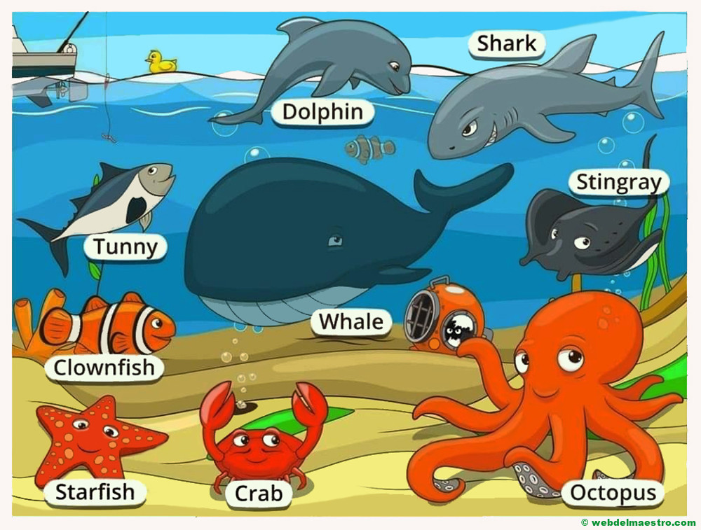 animales marinos en ingles-II