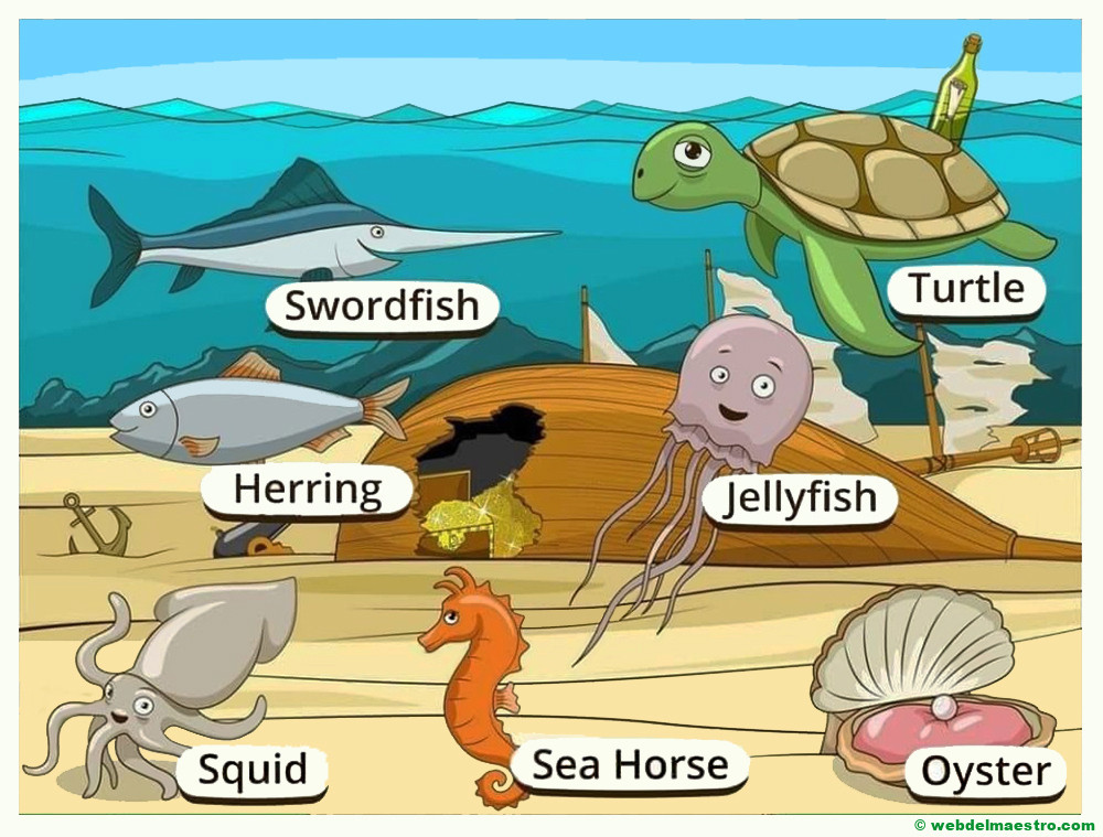 animales marinos en ingles