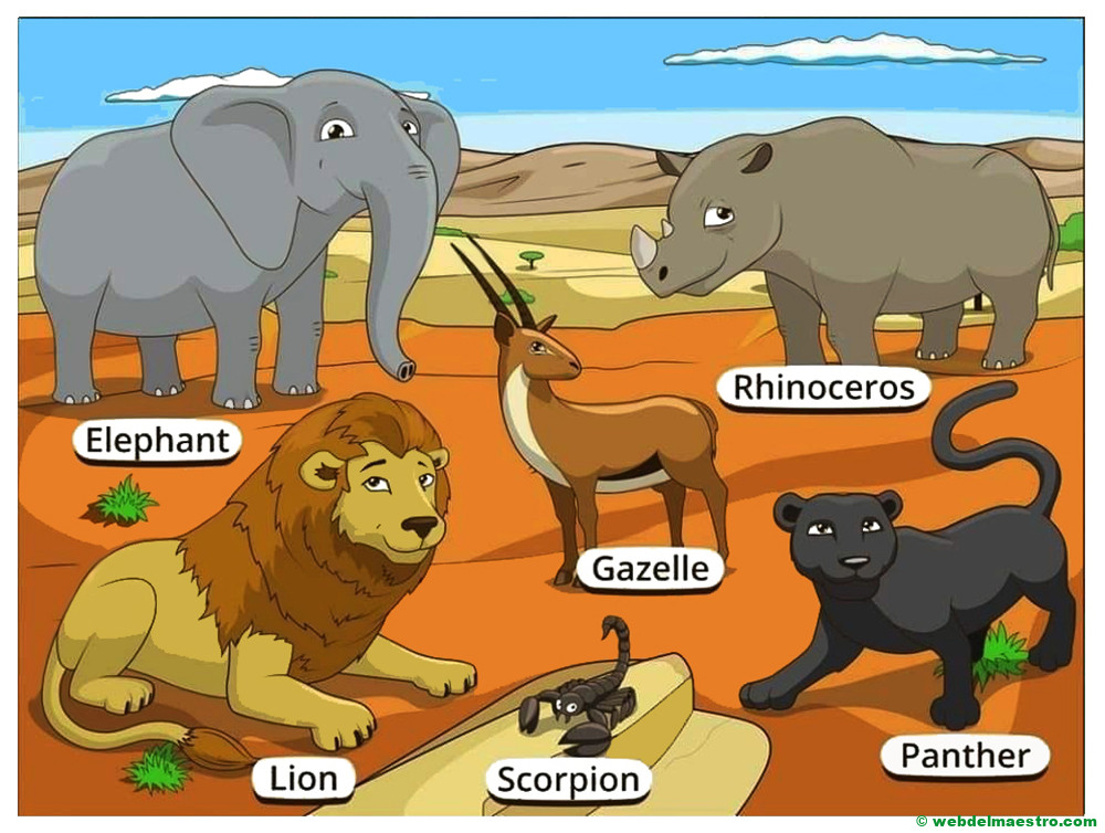 animales salvajes de la selva tropical en ingles