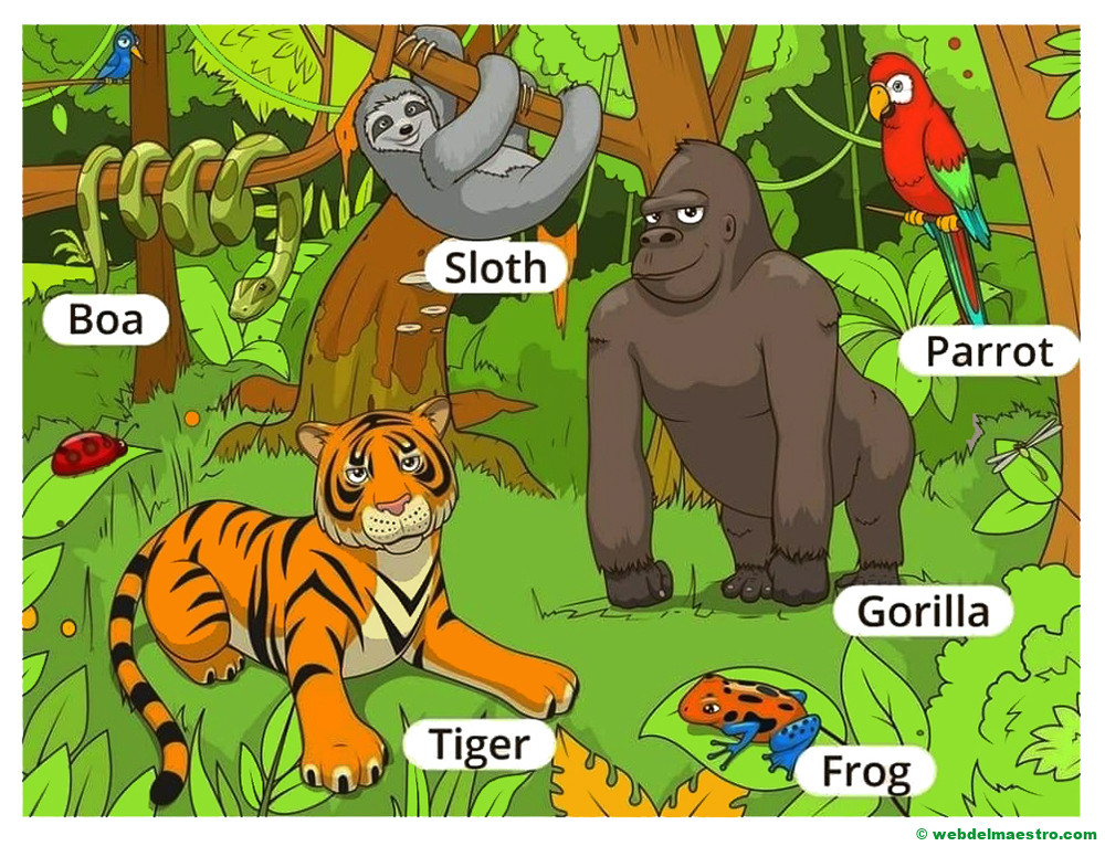 animales salvajes en ingles