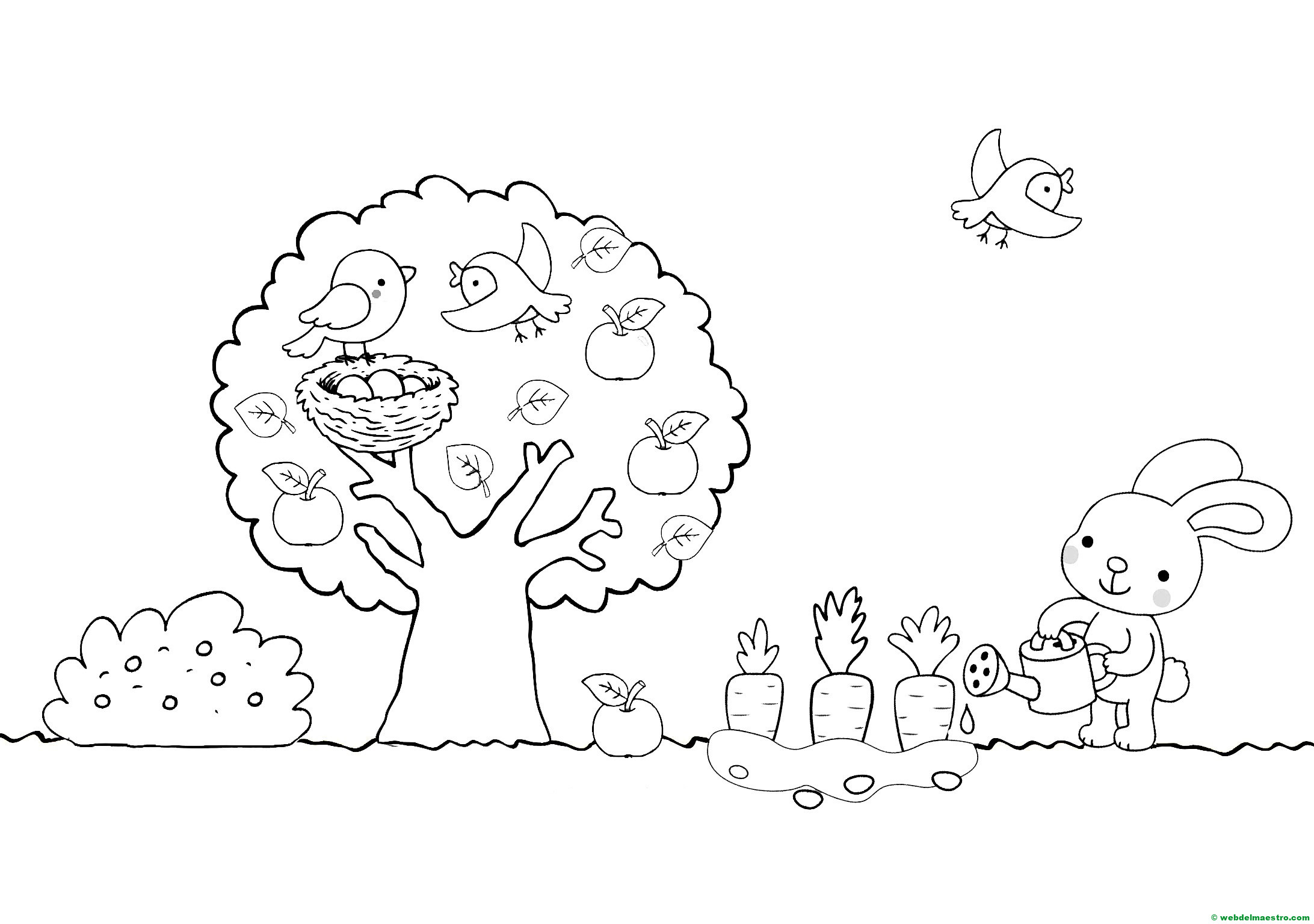 Dibujo para colorear del verano