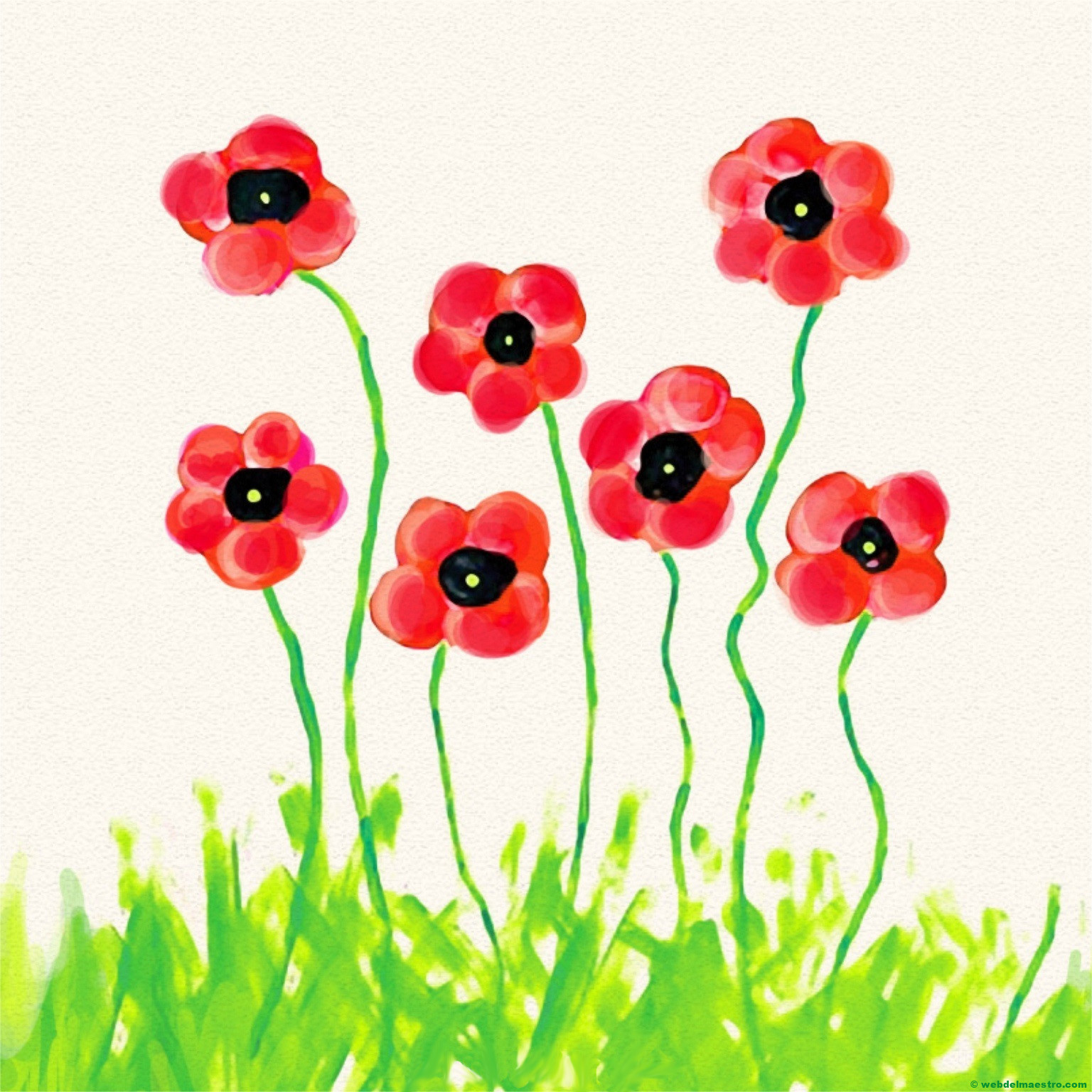 amapolas-terminación-