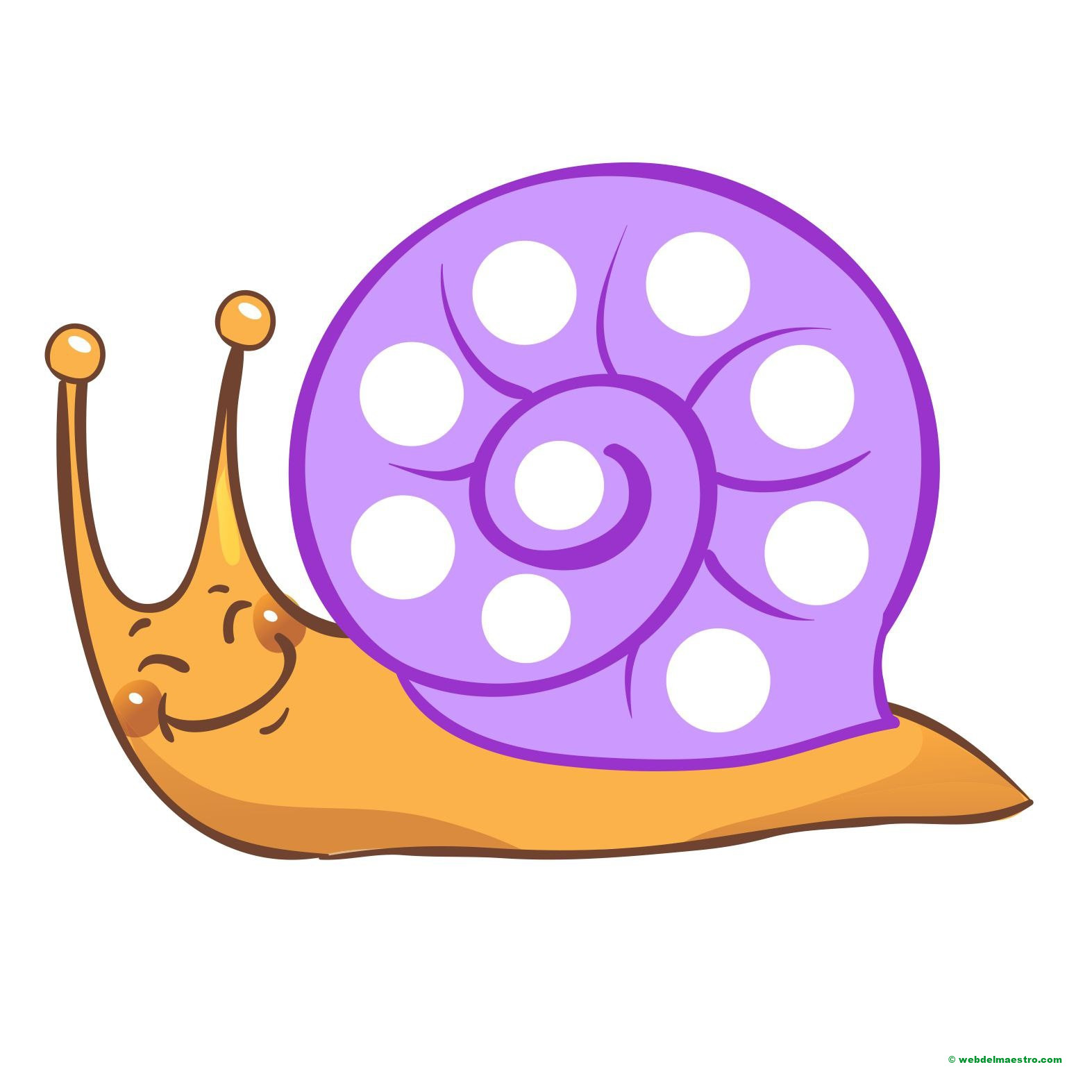 caracol