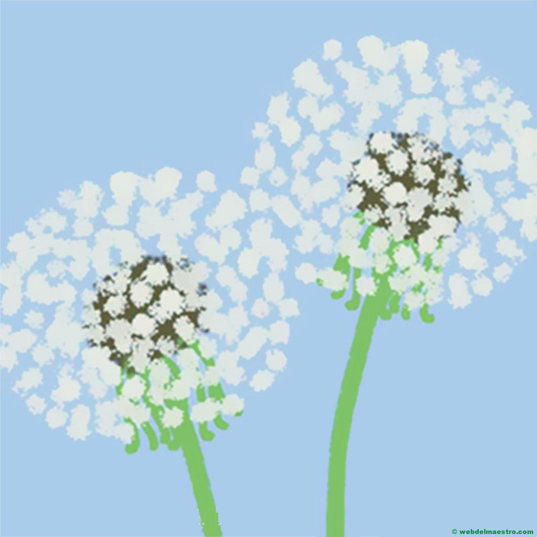 diente de león-flor