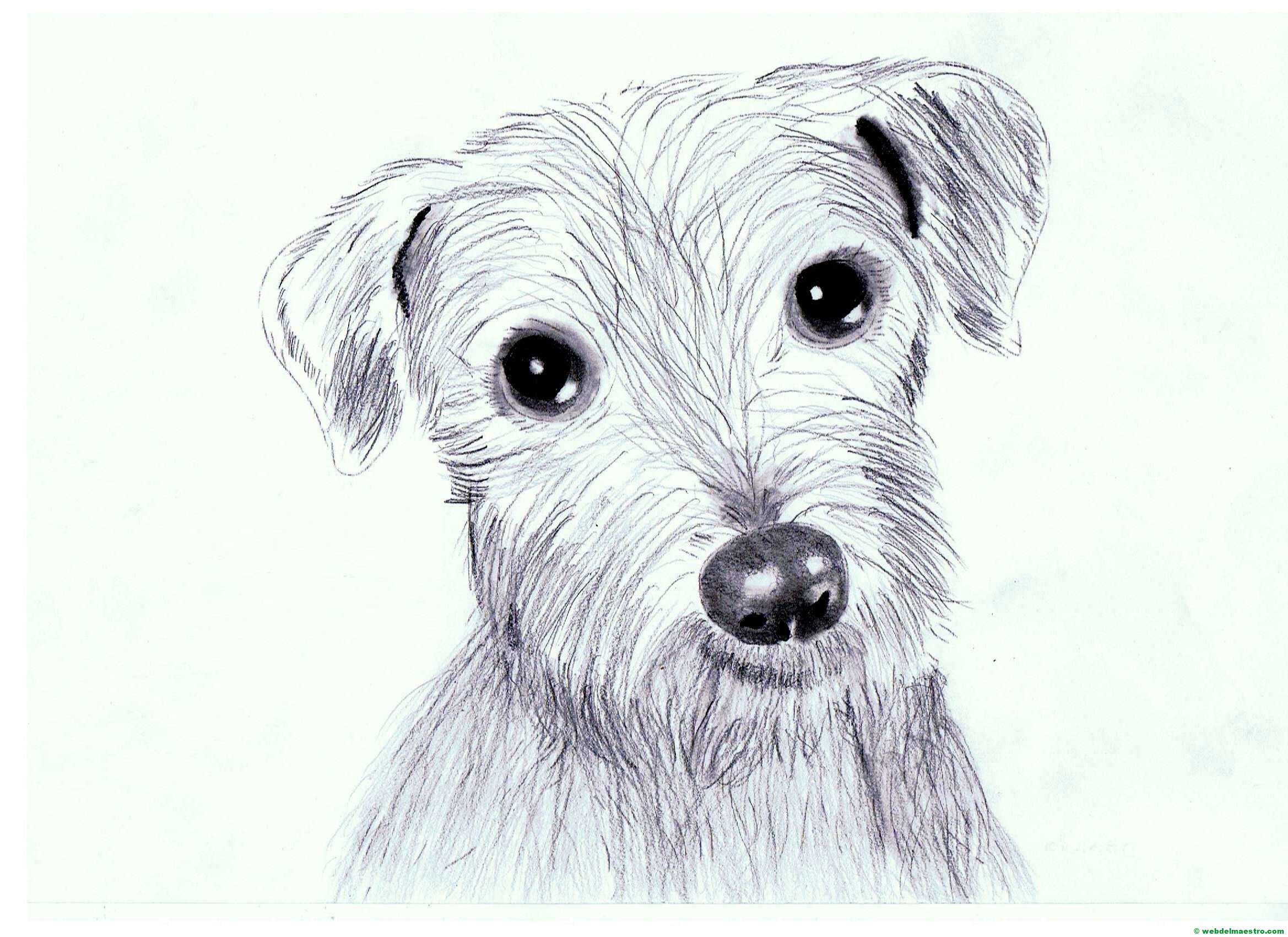 Dibujos a lapiz bonitos