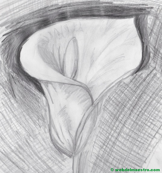 Dibujos sencillos a lapiz-cala