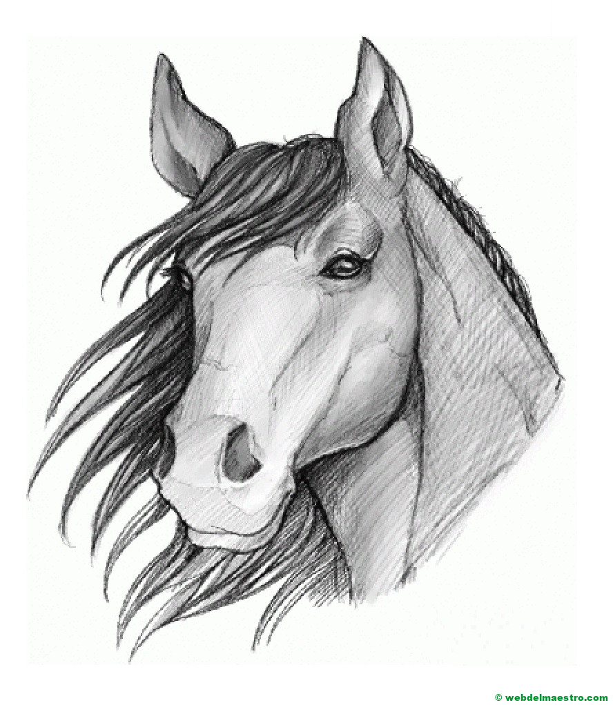dibujo de caballo a lápiz