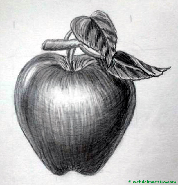 dibujo de manzana a lápiz