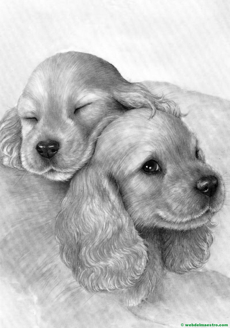 perritos dibujados a lápiz