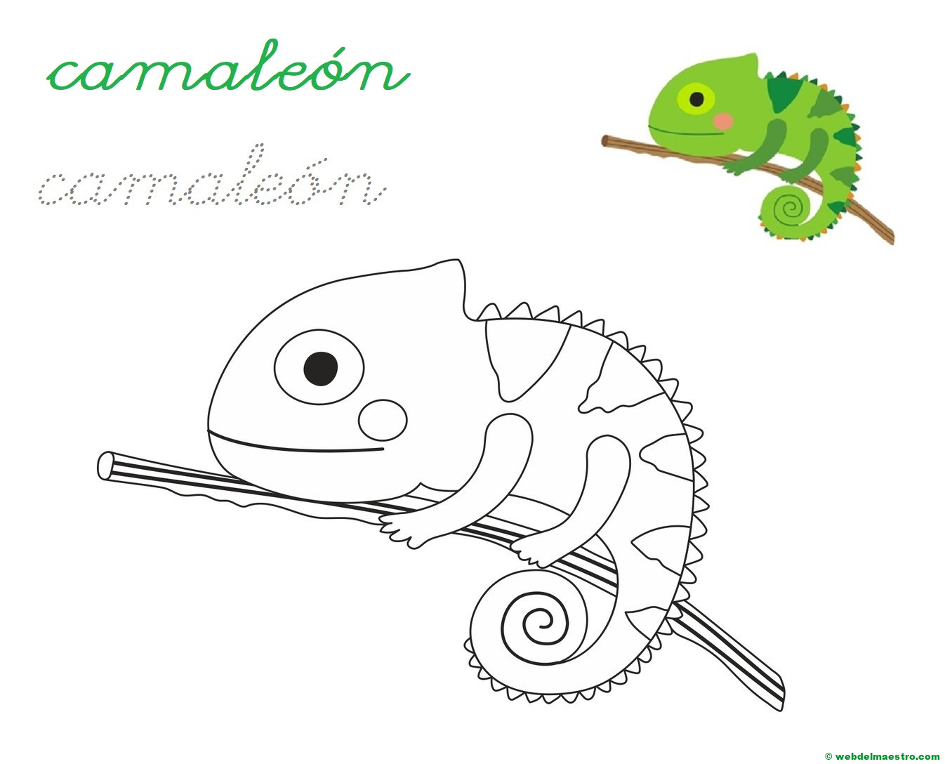 camaleón