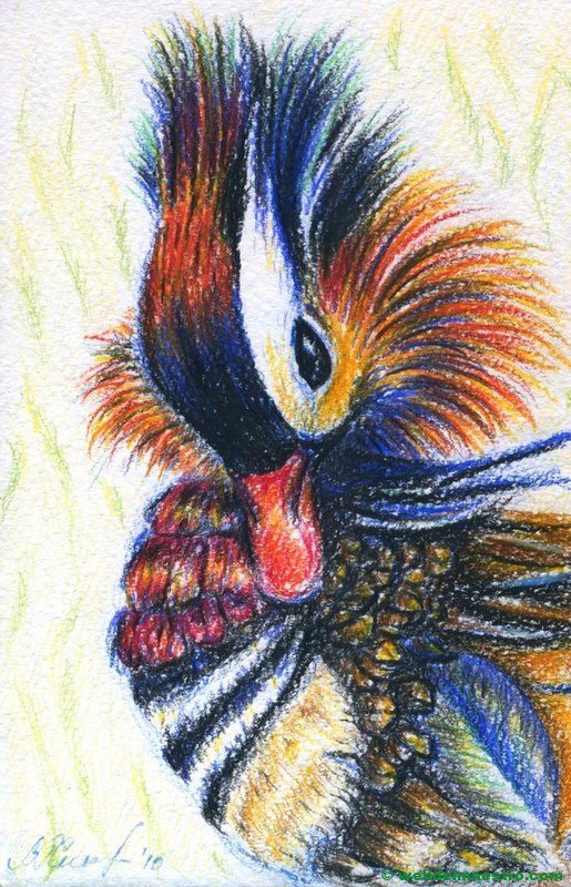 dibujo de pato a lápiz de color