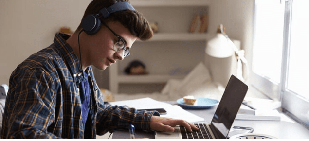 Enseñanza virtual en primaria