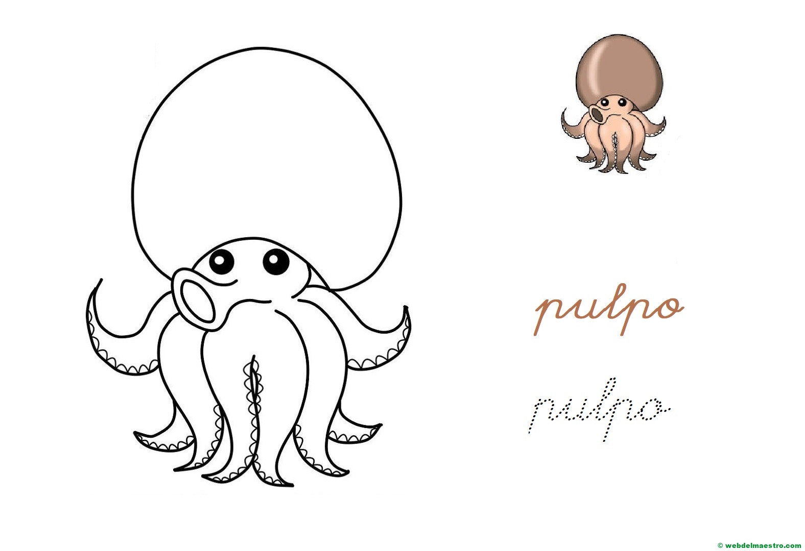 pulpo