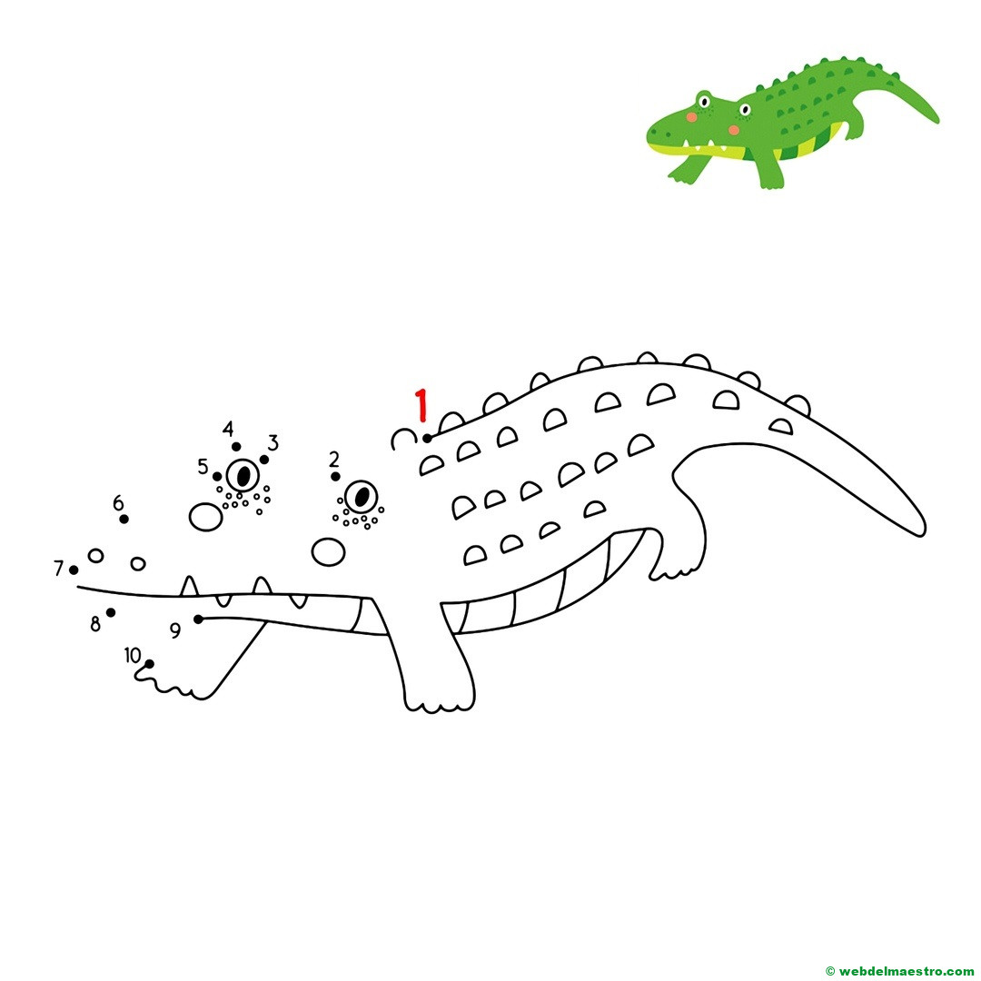 Dibujo por numeros-2