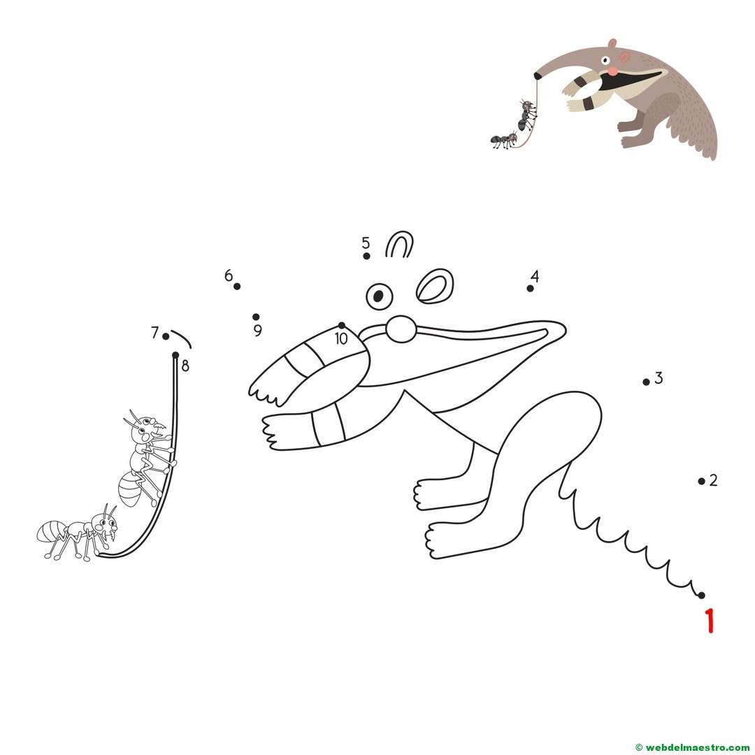 Dibujo por numeros-5