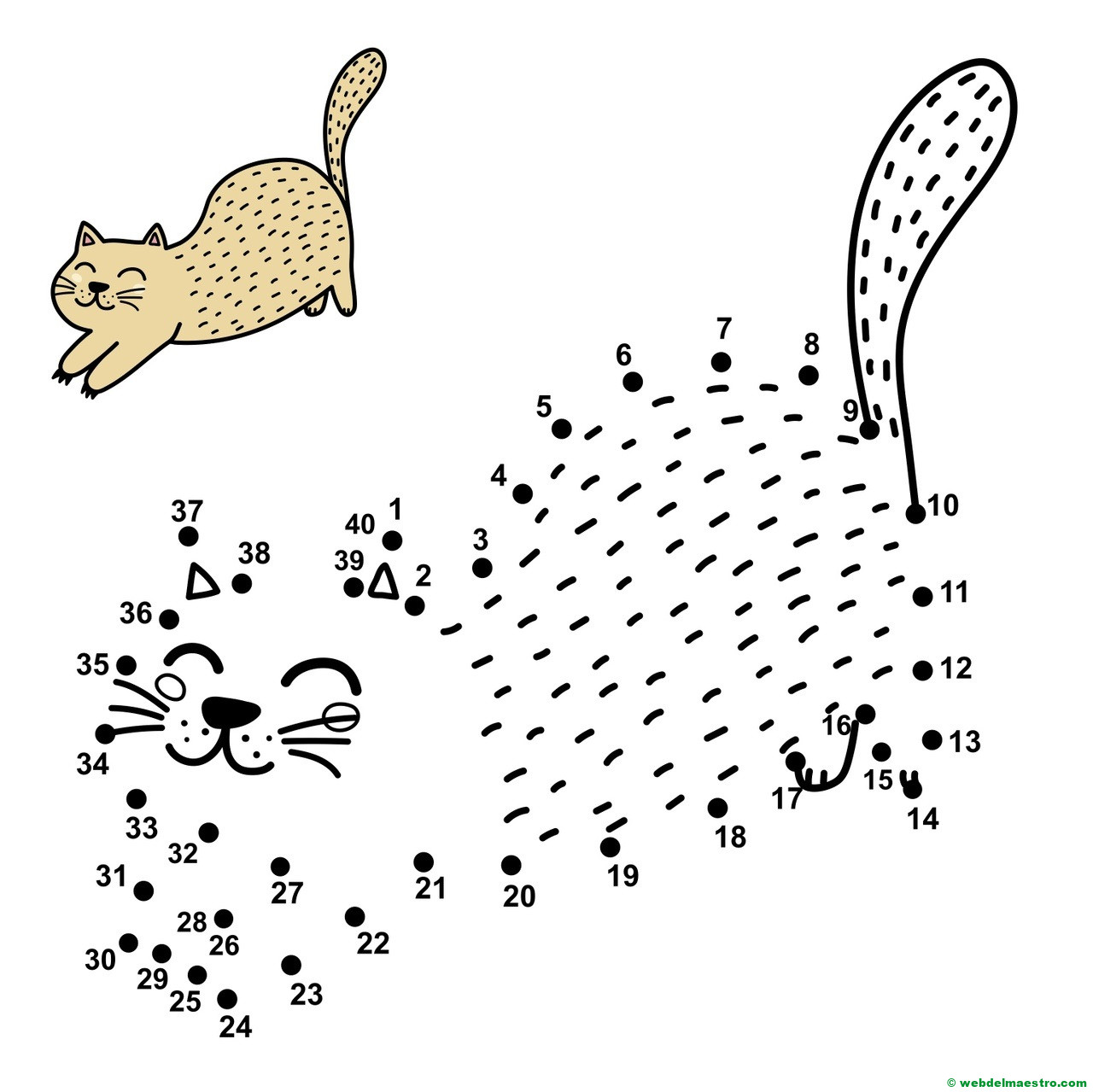 números hasta el 40