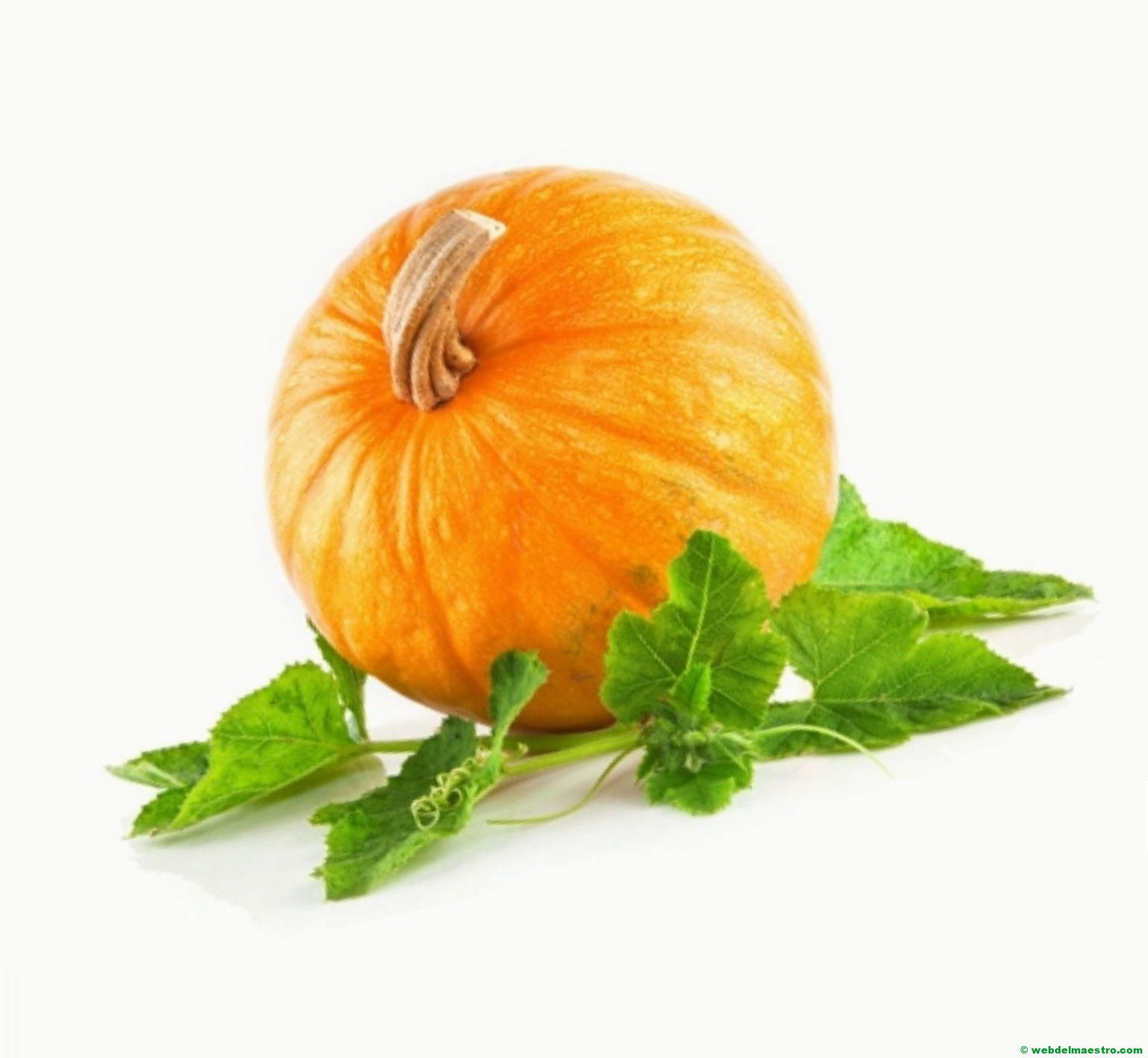 calabaza