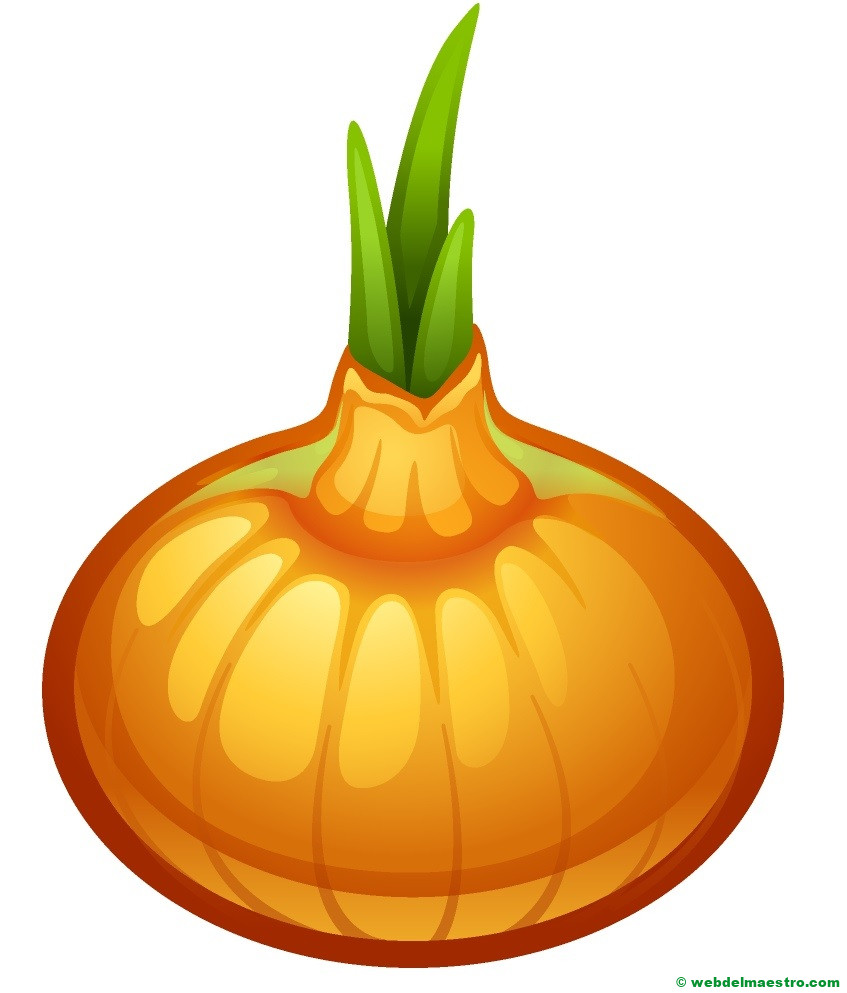 cebolla