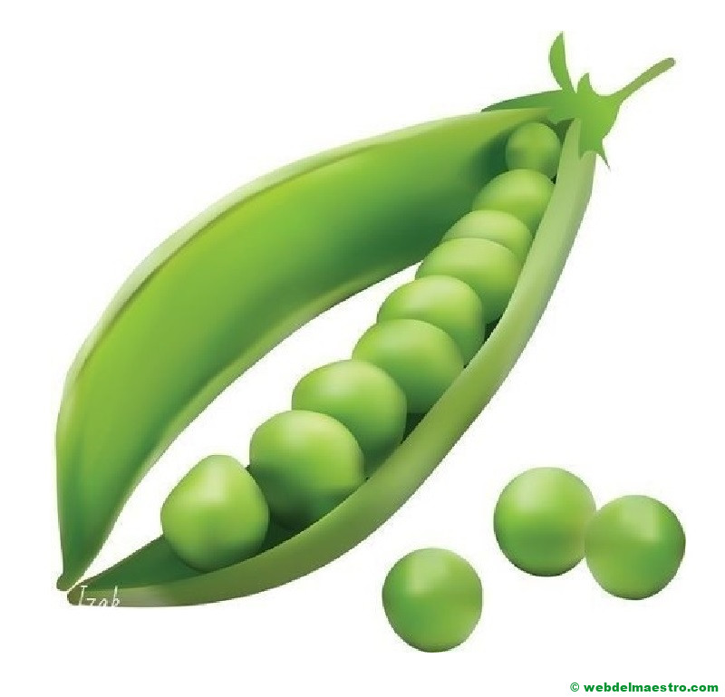 guisantes - 2