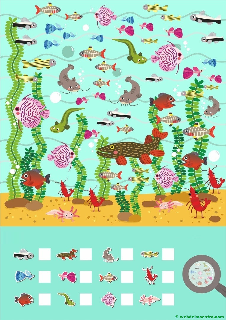 Aprender a contar-Ficha nº 8