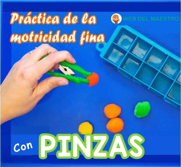 práctica motricidad fina