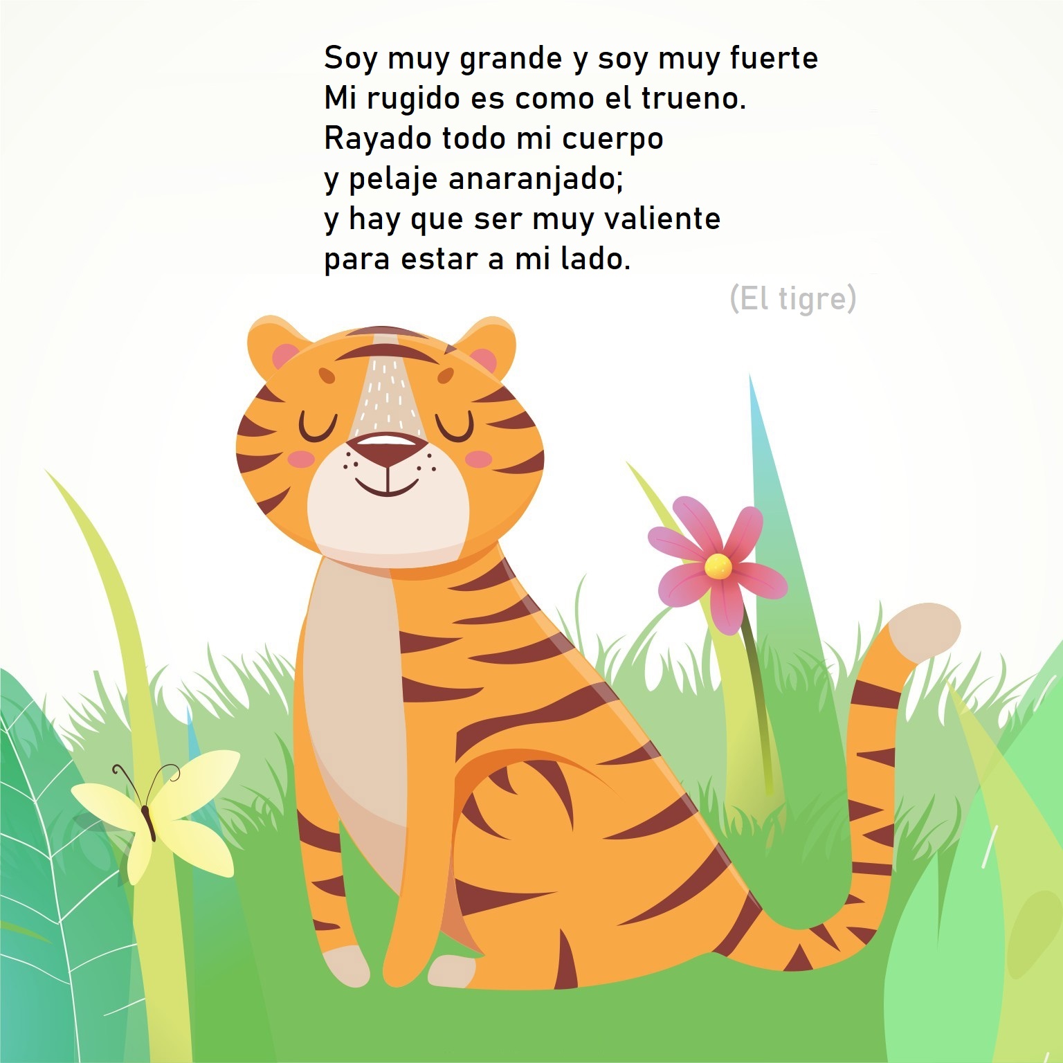 tigre