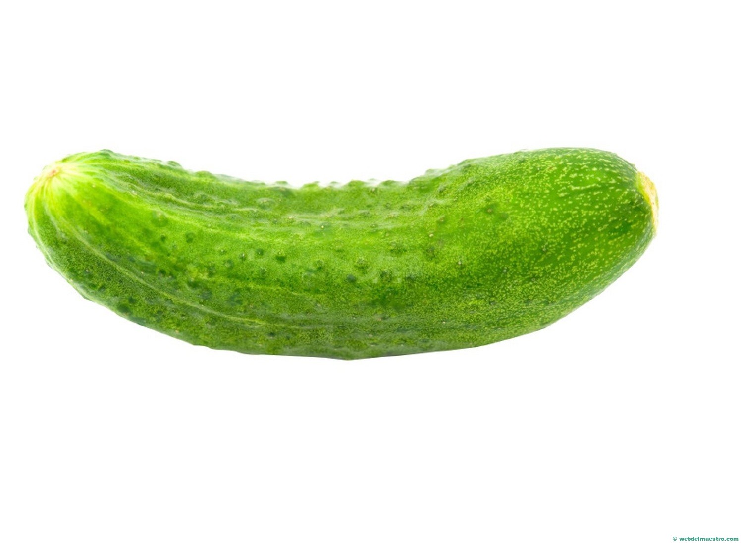 pepino