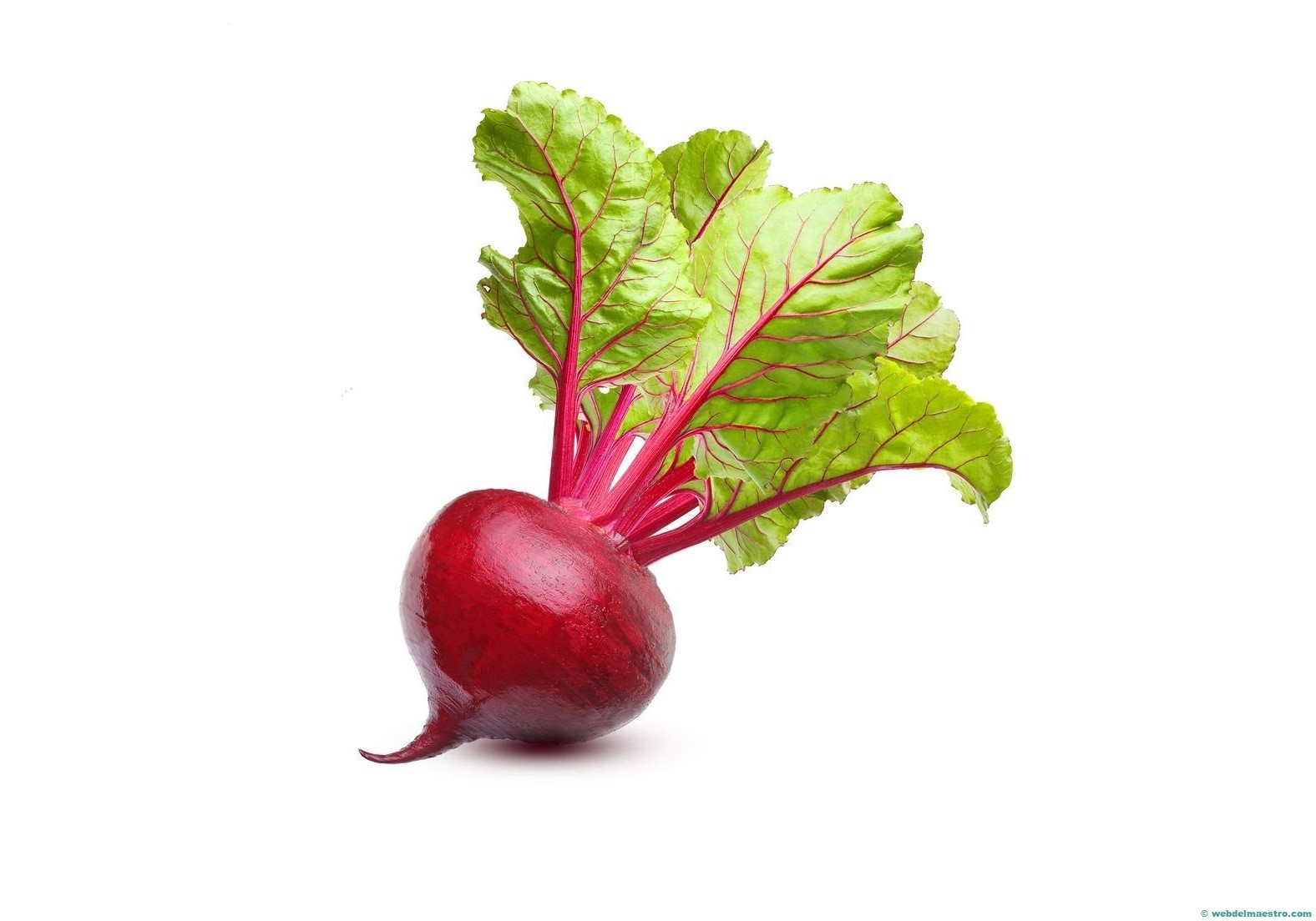 remolacha-