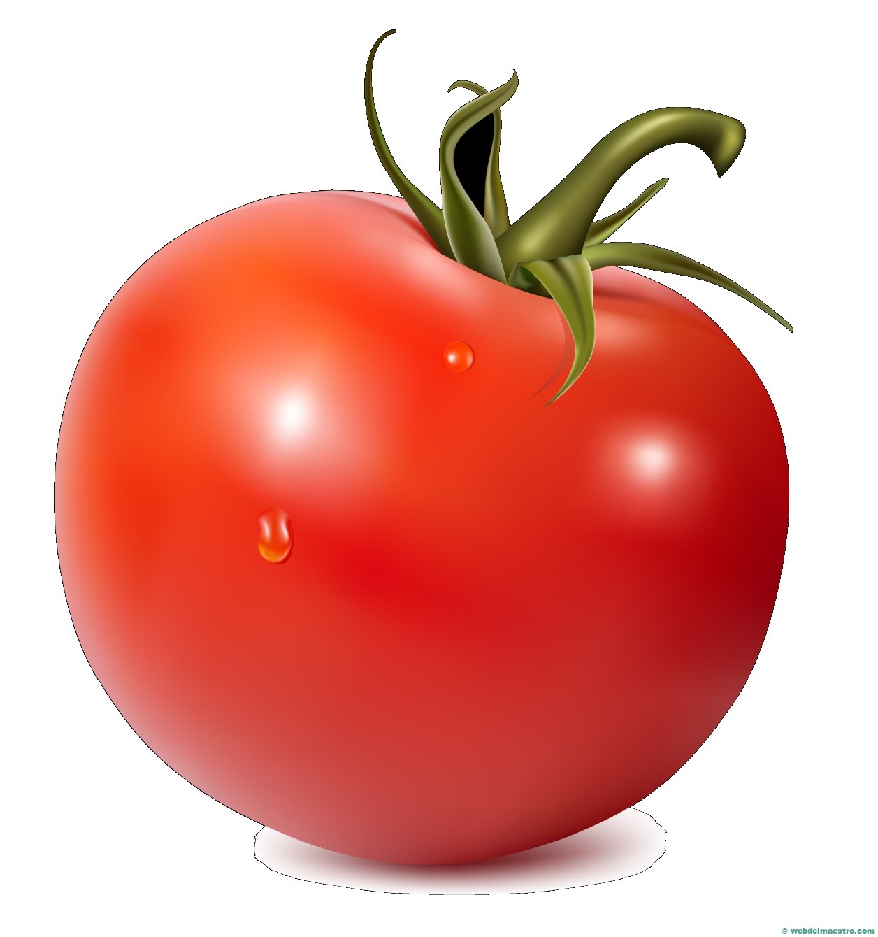 tomate