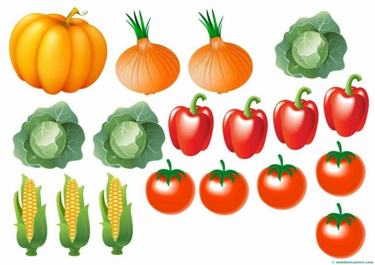 verduras y hortalizas VI
