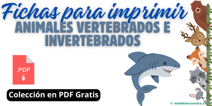 Animales vertebrados e invertebrados – Fichas para imprimir | PDF gratis